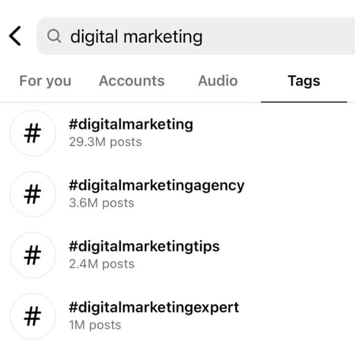 Digital marketing search results on Instagram.